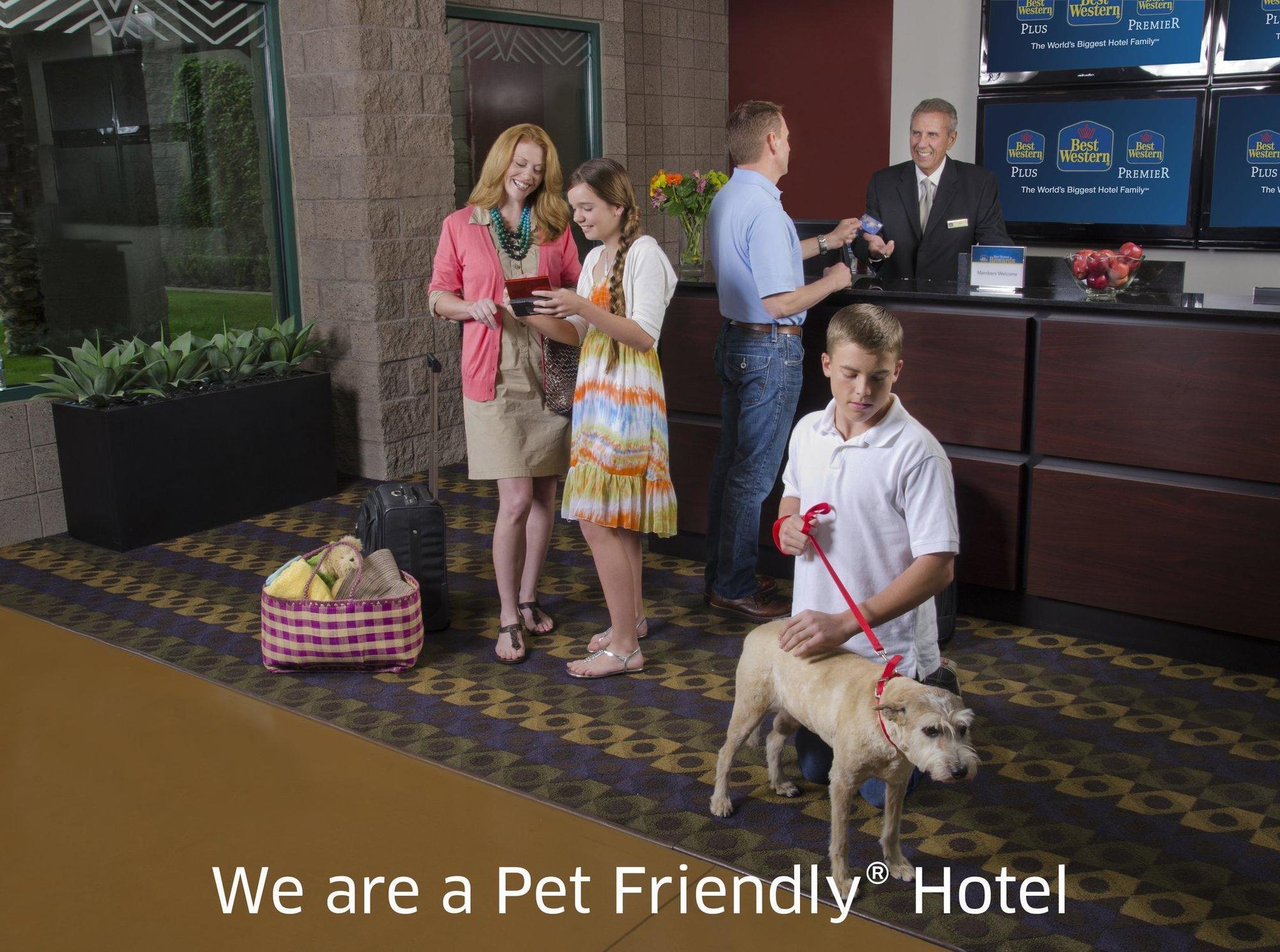Quality Inn & Suites Phoenix Nw - Sun City Youngtown Zewnętrze zdjęcie